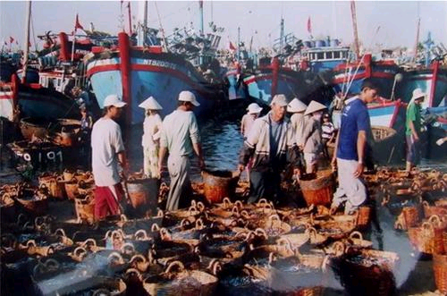 បរិយាកាសនៅបណ្ដាកំពង់ផែរត្រី  នៅបណ្ដាខេត្តភាគកណ្ដាលវៀតណាម